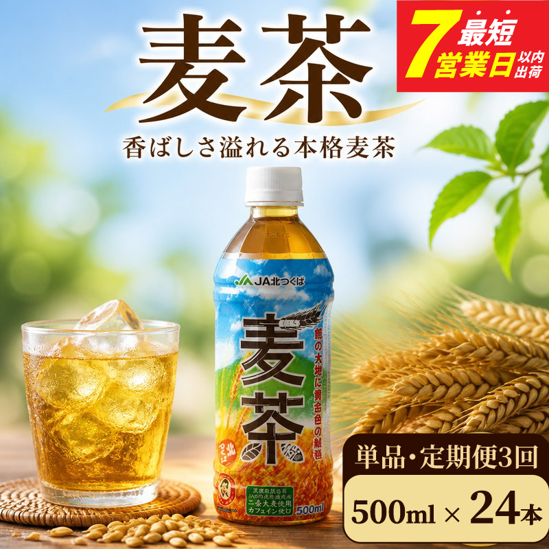 スピード発送!! 麦茶 1箱 ( 500ml × 24本 ) JGAP認証 二条大麦 使用 JA お茶 茶 ペットボトル 麦 大麦 ノンカフェイン カフェインゼロ 水分補給 茨城 筑西